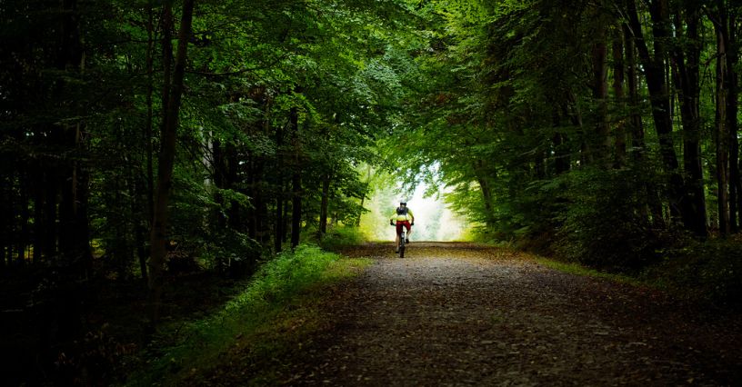 Najlepsze trasy rowerowe Dolnego Śląska &#8211; od Wrocławia po Barycz, Ślężę i Karkonosze