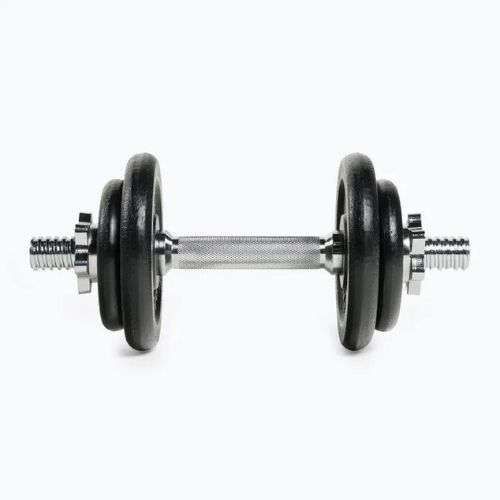 Zestaw hantli XTREXO DK20 20 kg