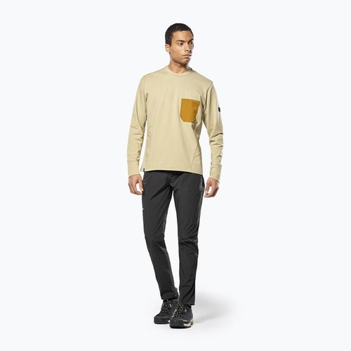 Bluza trekkingowa męska Salewa Fanes Dry Pullover quicksand