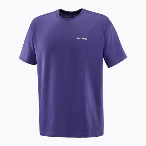 Koszulka męska Salomon Logo RX Tee astral