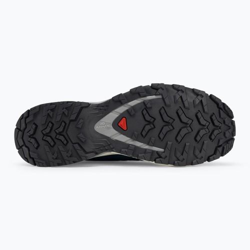 Buty do biegania męskie Salomon XA Pro 3D V9 poseidon/icicle/alloy
