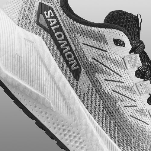 Buty do biegania damskie Salomon Aero Blaze 3 GRVL lunar rock/white/black