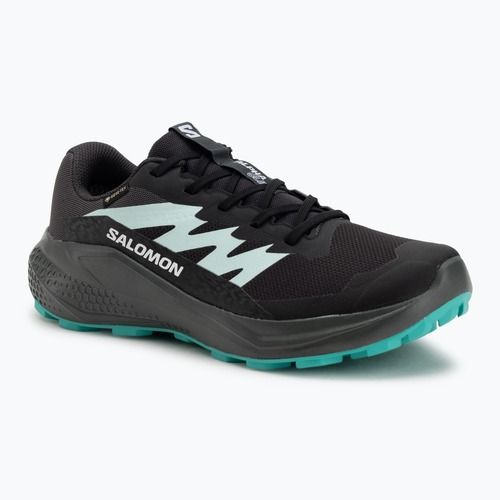 Buty do biegania damskie Salomon Alphaglide GTX hantom/urban chic/waterfall
