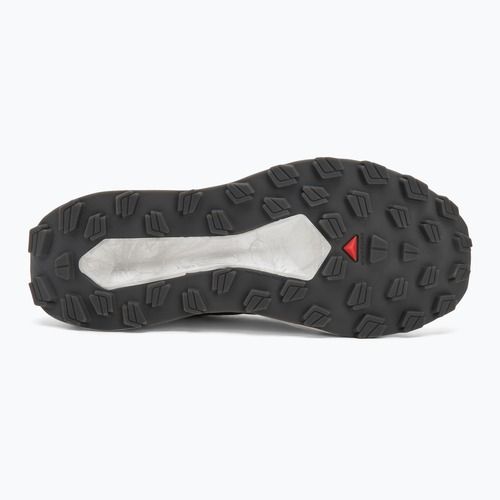 Buty do biegania męskie Salomon Vision vanilla ice/lunar/rock/black