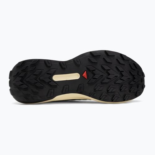 Buty do biegania męskie Salomon Genesis transparent yellow/black/willowherb