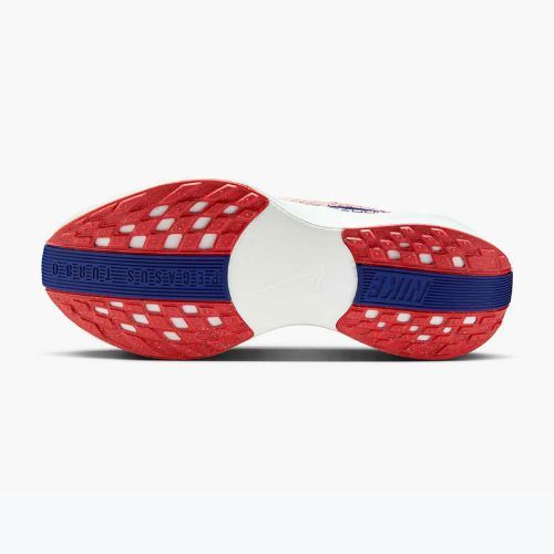Buty do biegania damskie Nike Pegasus Plus bright crimson/deep royal blue/silt red
