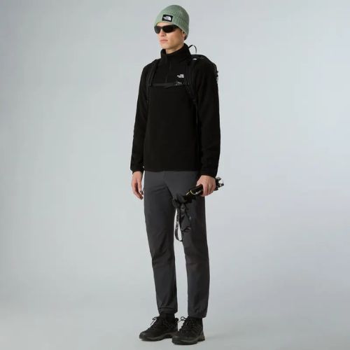 Bluza polarowa męska The North Face Glacier Fleece 1/4 Zip black