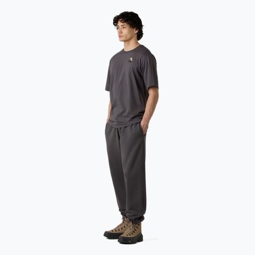 Koszulka męska The North Face Flower Dome Relaxed Graphic anthracite grey