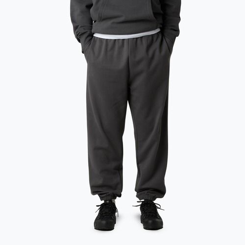 Spodnie męskie The North Face Expedition Celebration Relaxed Jogger Reg anthracite grey