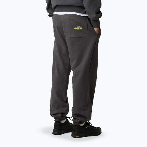 Spodnie męskie The North Face Expedition Celebration Relaxed Jogger Reg anthracite grey