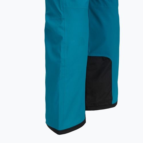 Spodnie narciarskie męskie The North Face Chakal Regular dusk blue