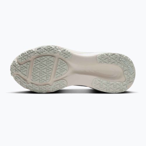 Buty do biegania męskie Nike Vomero 18 GORE-TEX pure platinum/metallic silver