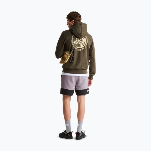 Bluza męska The North Face Monte Regular Hoodie Graphic new taupe green