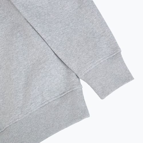 Bluza The North Face Celebration Relaxed Crew Graphic tnf light grey heather