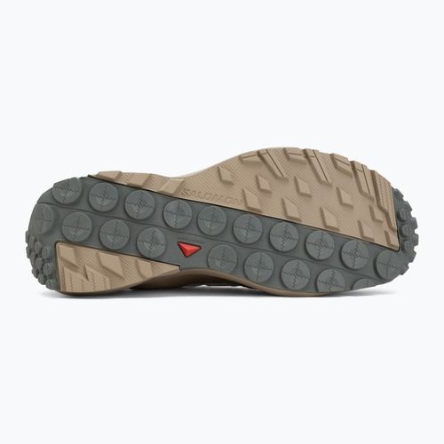Buty turystyczne męskie Salomon Techamphibian 5 rainy day/desert tan/mykonos blue