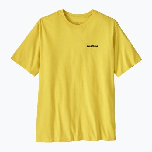 Koszulka męska Patagonia P-6 Logo Responsibili-Tee p-6 outline/lemon zest