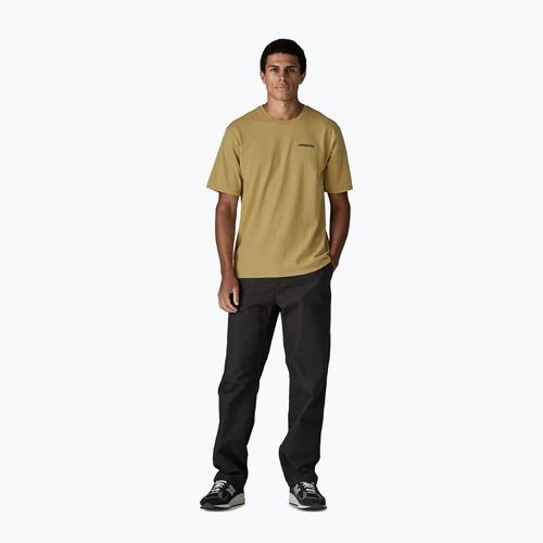 Koszulka męska Patagonia Flying Fish Responsibili Tee limestone yellow/heritage fitz