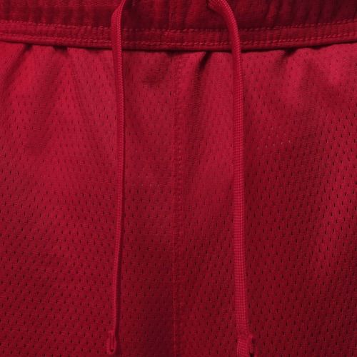 Spodenki męskie Jordan Sport Essentials Dri-Fit gym red