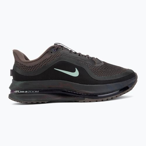 Buty do biegania męskie Nike Pegasus Premium ironstone/dark smoke grey/quartz patina