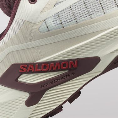 Buty do biegania damskie Salomon Genesis 2 gray violet/safety yellow