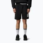 Spodenki trekkingowe męskie The North Face Box Nse Regular tnf black/tnf white