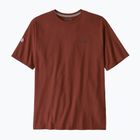 Koszulka męska Patagonia Fitz Roy Icon Responsibili-Tee dried vanilla