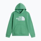 Bluza dziecięca The North Face Essential Drew Peak Hoodie dimmed algae