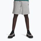 Spodenki treningowe męskie Under Armour Rival LW mod gray light heather/black