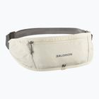 Pas do biegania Salomon Pulse Sling icicle/castlerock