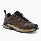 Buty do bieganie męskie Salomon XA Pro 3D V9 falcon/desert tan/black