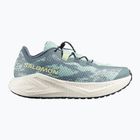 Buty do biegania męskie Salomon Aero Glide 4 GRVL stormy weather/lichen/vanilla ice