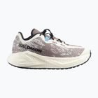 Buty do biegania męskie Salomon Aero Glide 4 GRVL vanilla ice/black/iron