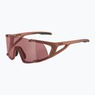 Okulary przeciwsłoneczne Alpina Hawkeye Q-Lite brick matt/black red mirror