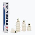 Lotki do badmintona VICTOR Master Ace 12 szt. white