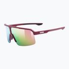 Okulary przeciwsłoneczne UVEX Ramp burgundy matt/mirror rose