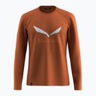 Longsleeve męski Salewa Solidlogo Dry bombay brown