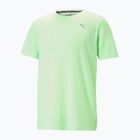 Koszulka męska PUMA Performance fizzy lime