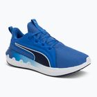 Buty do biegania PUMA Softride Carson vivid blue/puma navy
