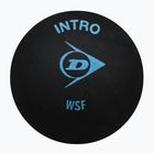 Piłka do squasha Dunlop Intro blue dot 700105