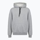 Bluza męska Mizuno Takeshi Hoodie grey