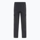 Spodnie męskie Ellesse Teratilo Cargo black