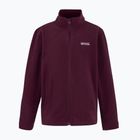 Bluza polarowa dziecięca REGATTA King II fig