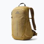 Plecak turystyczny Gregory Arrio 20 RC amber haze