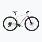 Rower gravelowy KROSS Esker 1.0 FL szary/fioletowy/połysk