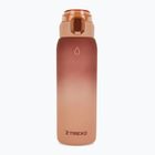 Bidon XTREXO Haust 1000 ml brązowy