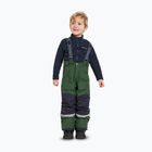 Spodnie narciarskie dziecięce Didriksons Idre pine green