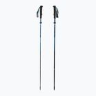 Kije trekkingowe Black Diamond Distance Carbon Flz desert sky