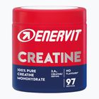 Kreatyna Enervit Creatine monohydrate 330 g