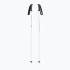Kije narciarskie Fizan Storm white