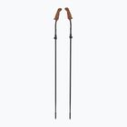 Kije nordic walking Fizan Walx Pro